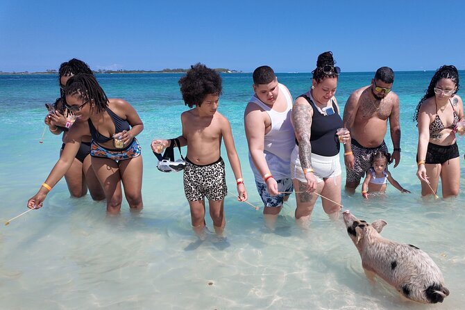 Swimming Pigs, Snorkeling and Beach Tour in Nassau Bahamas - The Big Picture: A 2.5-Hour Nassau Mix That Actually Works