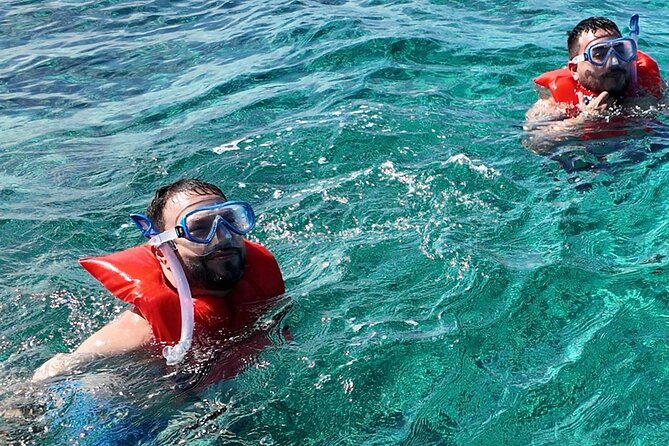 Swimming Pigs, Snorkeling and Beach Tour in Nassau Bahamas - Stop 2, Athol Island and Pigs Beach: Feeding the Swimming Pigs