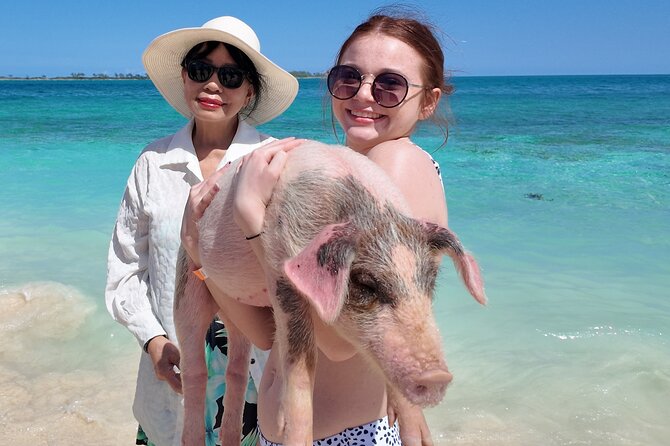 Swimming Pigs, Snorkeling and Beach Tour in Nassau Bahamas - Stop 4, Nassau Return Cruise: Snacks, Views, and a Calm Finish