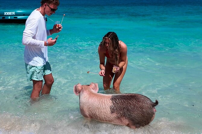 Swimming Pigs, Snorkeling and Beach Tour in Nassau Bahamas - Boat Comfort: What the 42-Foot Ride Adds to Your Day