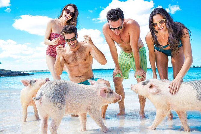 Swimming Pigs, Turtles & Reef Snorkel in Nassau-Champion Tours - Why this Nassau trip feels like a best-of day, not a check-the-box ride