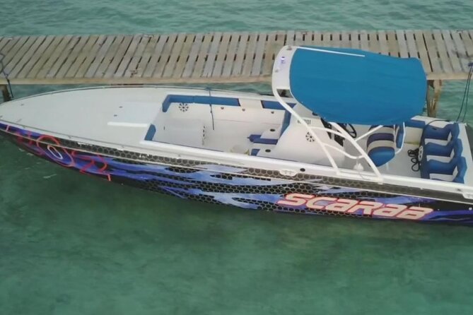 Swimming Pigs, Turtles & Reef Snorkel in Nassau-Champion Tours - Your photo and thrill add-ons: jetski and a drone-including photographer