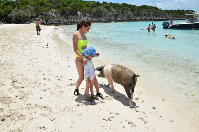 Swimming with Pigs in Nassau, Transportation Included - Rose Island beach time: chairs, water gear, and a real break