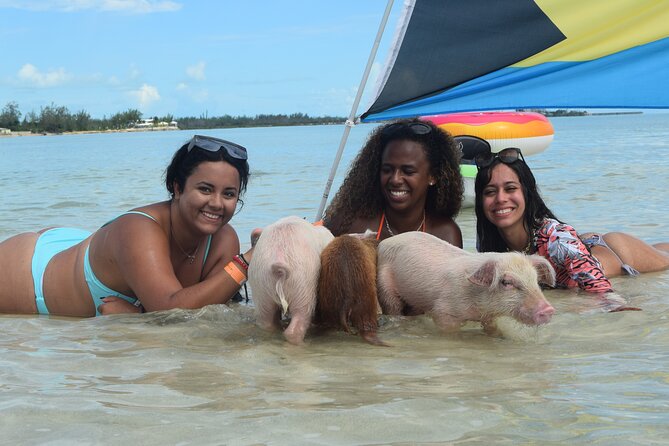 Swimming with Pigs in Nassau, Transportation Included - The pig encounter: feeding, petting, and when swimming is limited