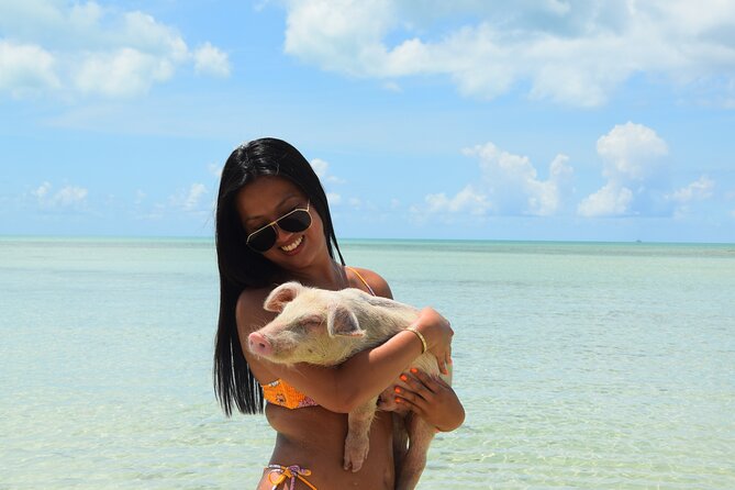 Swimming with Pigs in Nassau, Transportation Included - Lunch on the island and drinks afterward
