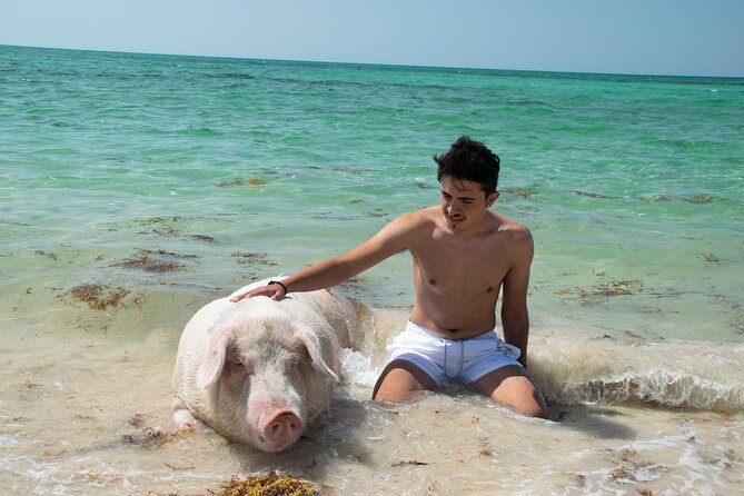 Swimming with Pigs in Nassau, Transportation Included - Who this tour fits best in Nassau