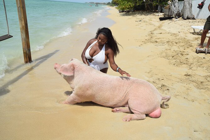 Swimming with Pigs in Nassau, Transportation Included - Getting from Nassau to Fort Montagu with pickup and karaoke