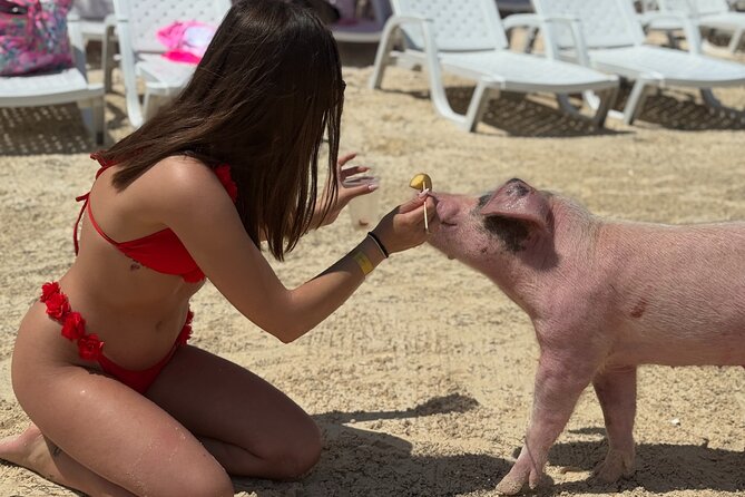 The Ultimate Bahamian Beach Day: Pigs, Jet Ski, Snorkeling & More - Mansa Bay beach club time: swings, games, and rum punch included