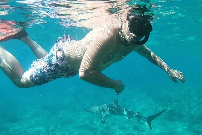 Top 4 Snorkeling Adventures in Bimini - Stop 1: Pablo Escobar’s Plane Wreck and WWII-Era Snorkeling