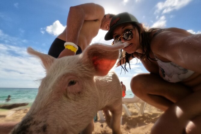 Ultimate SeaXscape Pigs/Turtles/Snorkel/Lunch/Drinks/PU/DO - A Nassau half-day built around real moments, not checkboxes