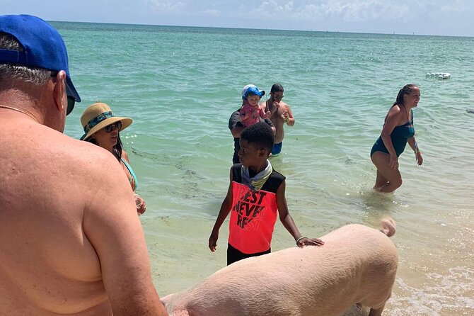 Ultimate SeaXscape Pigs/Turtles/Snorkel/Lunch/Drinks/PU/DO - Lunch, snacks, drinks, and the conch show that actually feels like culture